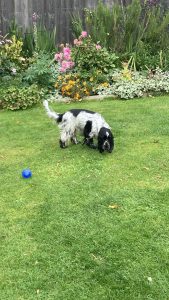 original 269498d2 9208 4e59 9502 4a2a64e592c1