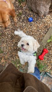 original 8a2298ef 3edf 460d b9bd b4854bab486b