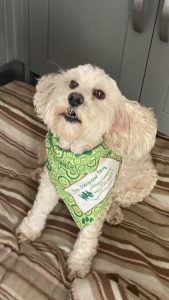 original b80beb68 2d09 4eec 8f86 ce5a6be603f2