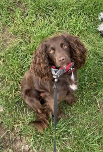 original c69dadef 08d5 4f71 a7bc 0e201012d17f