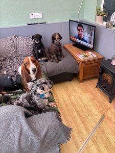 processed 270cf10e 5da7 41ef ac00 ee5e7a235771