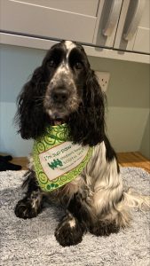 processed 4602bf56 7bdd 4909 90d6 314e96a1aaeb