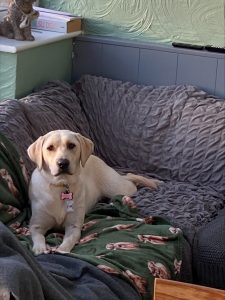 processed 4faf6930 da96 4872 bd01 e104f4cfc7e5