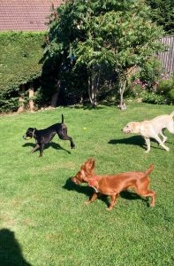 processed 6cfba5b8 86c3 4941 9b55 180993c29130