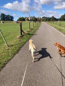 processed 776f9d95 2751 4b6b 9d4b cbb8113c9f07