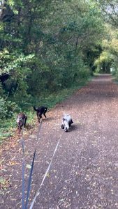 processed a08f244e 77c6 474c 83af 0acca9198da1