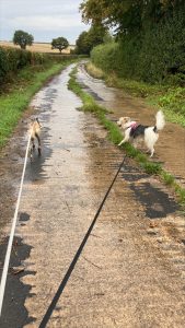 processed a715b78f d98d 432d 8f01 5f6a90eb14b0