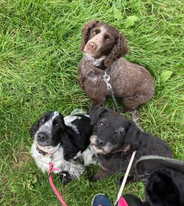 processed e37f7407 5795 489a 9fa0 cfcf0049e6d6