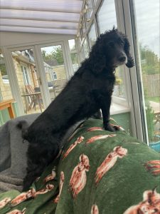 processed f67cead0 97c2 4e61 b850 09f7586de674